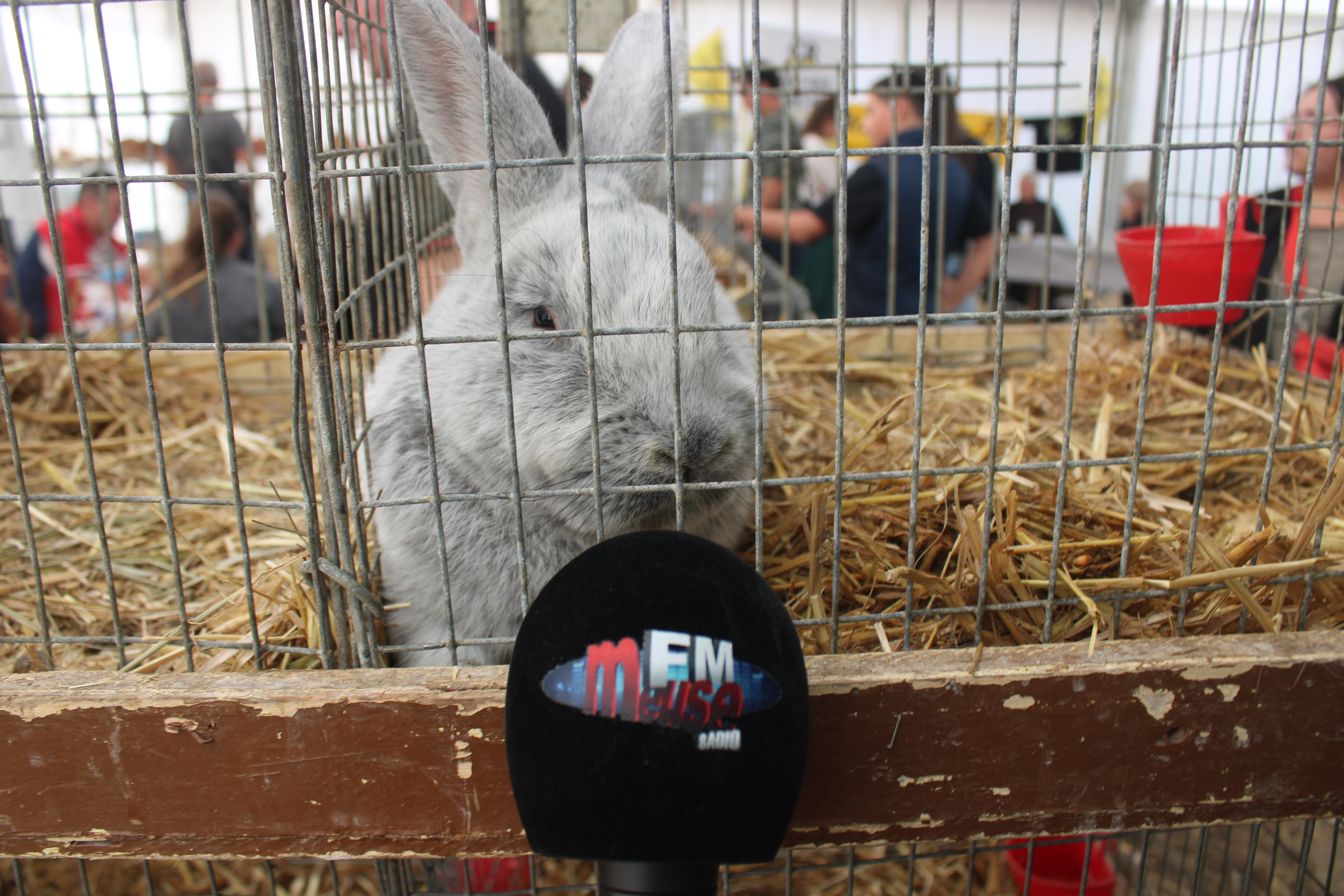 IMG_2560.JPG (7.32 MB)