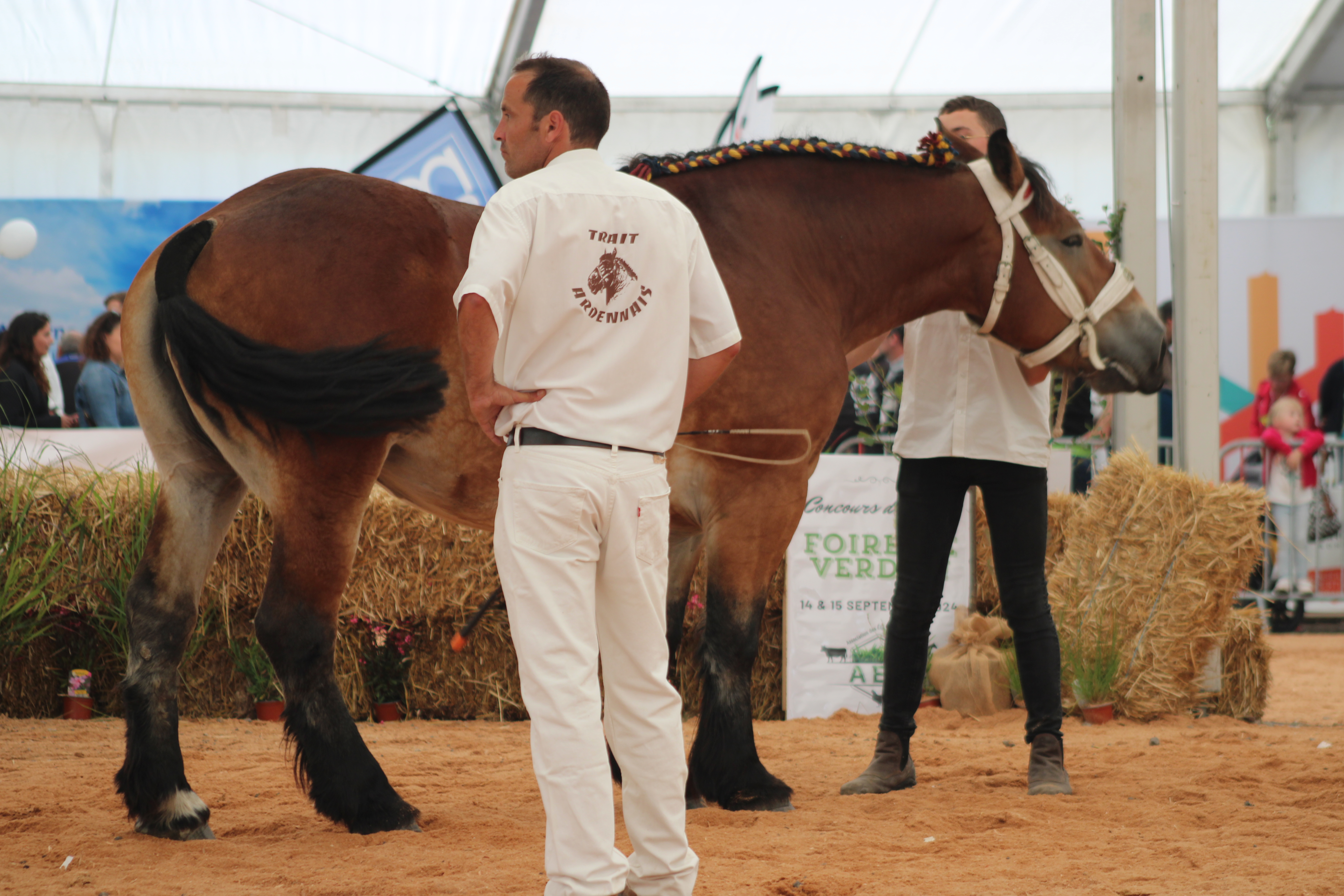 IMG_2617.JPG (6.49 MB)