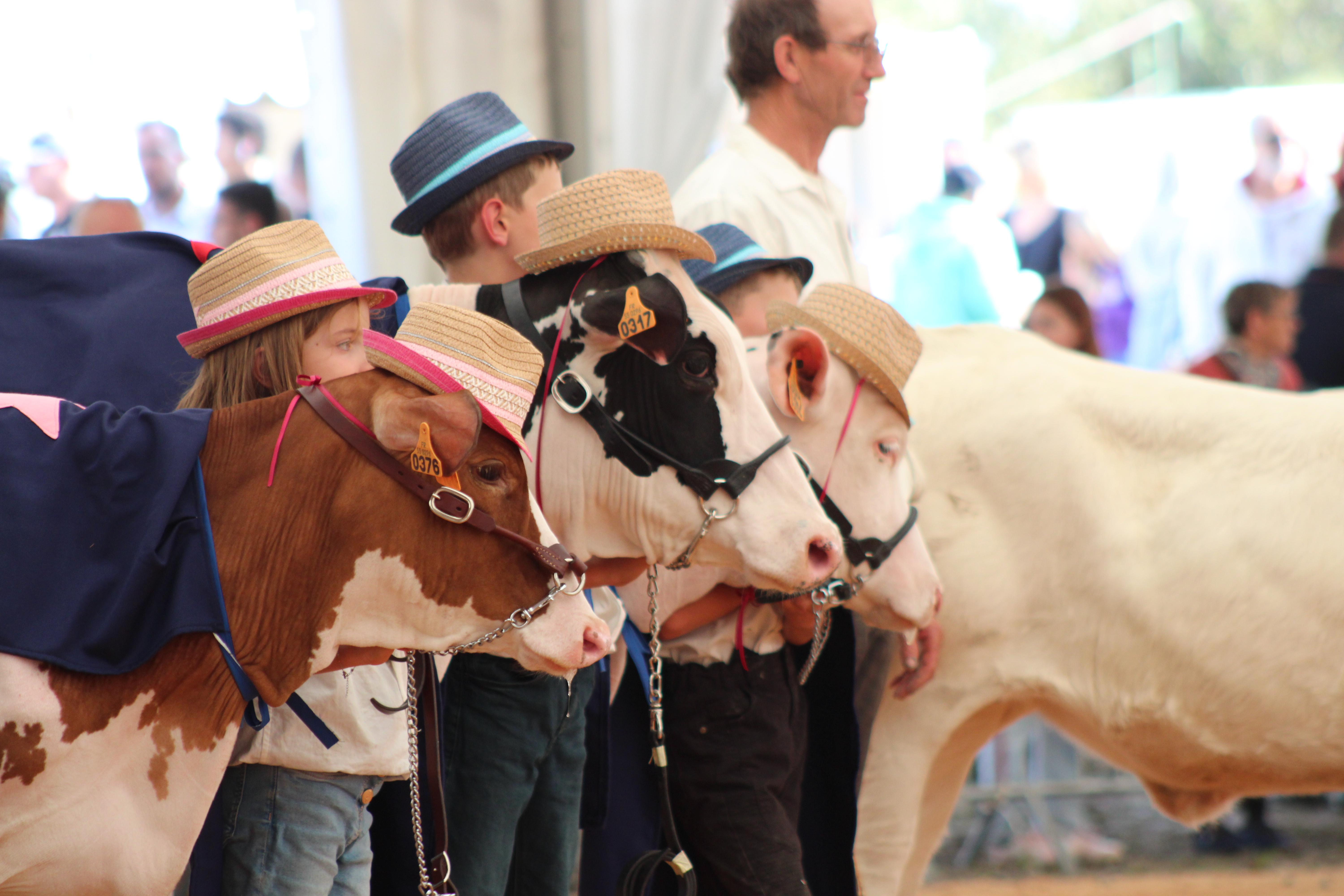 IMG_2716.JPG (6.26 MB)