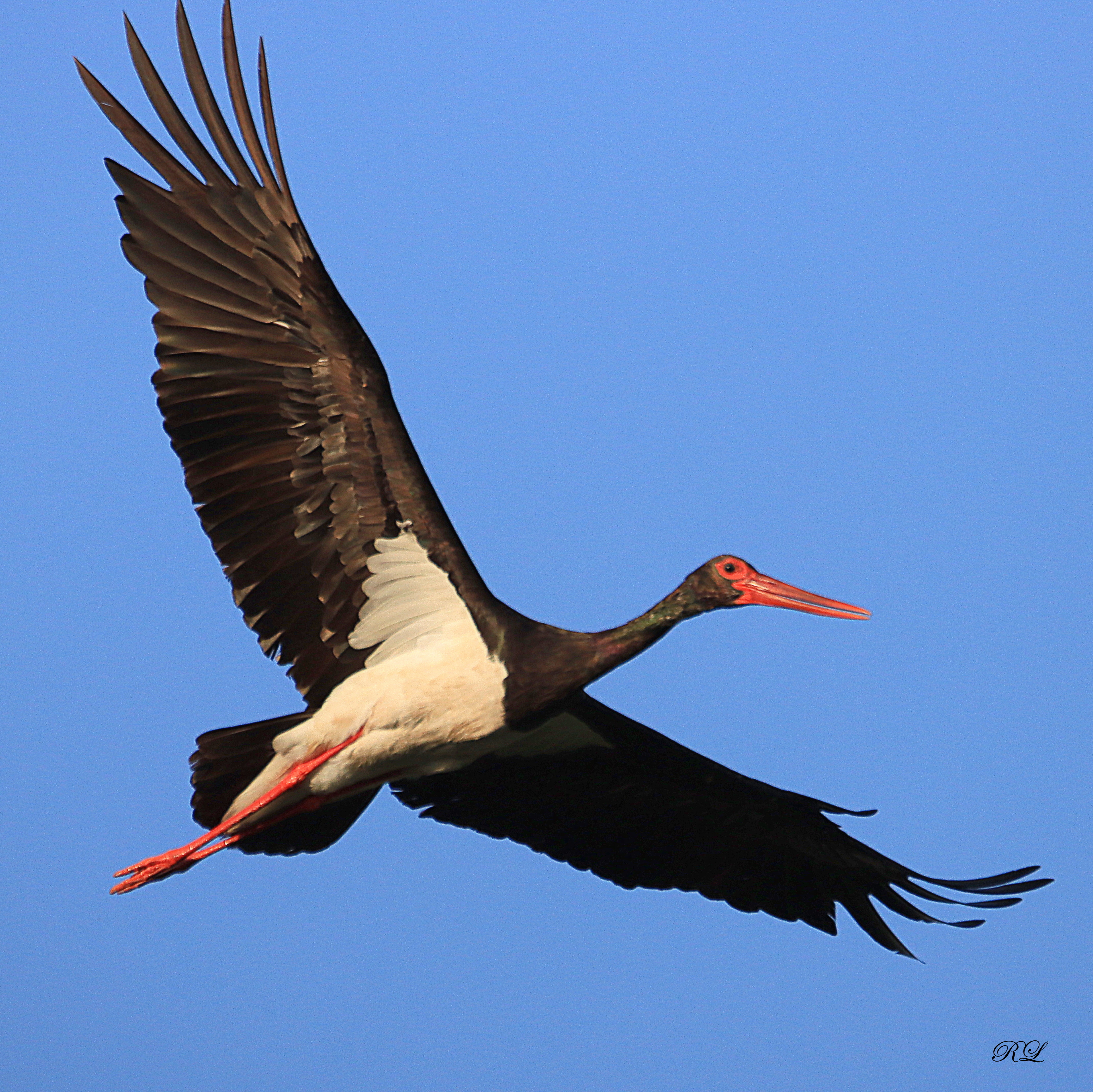 IMG_1873.JPG (5.40 MB)