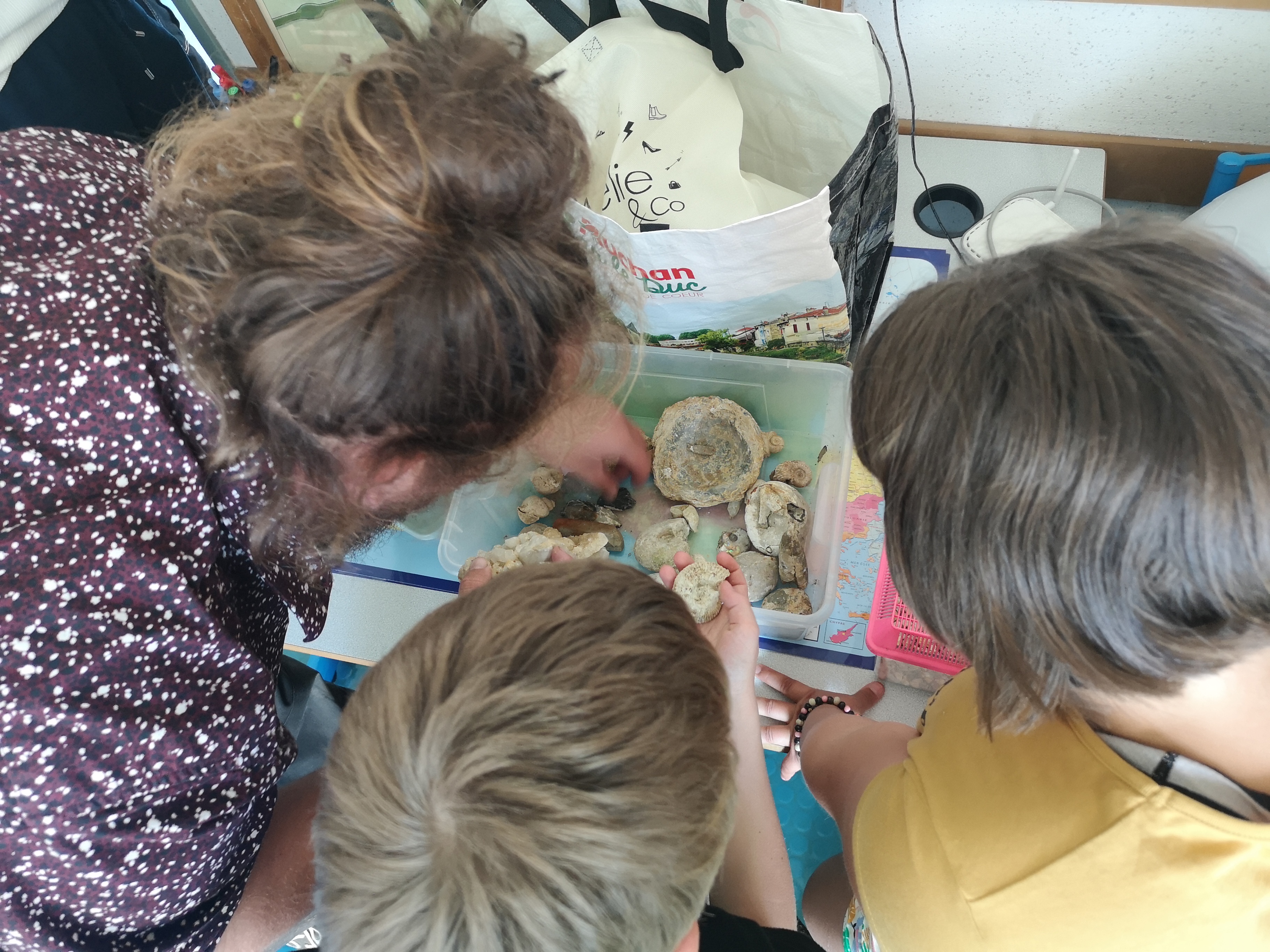 IMG_20240604_162212.jpg (2.98 MB)