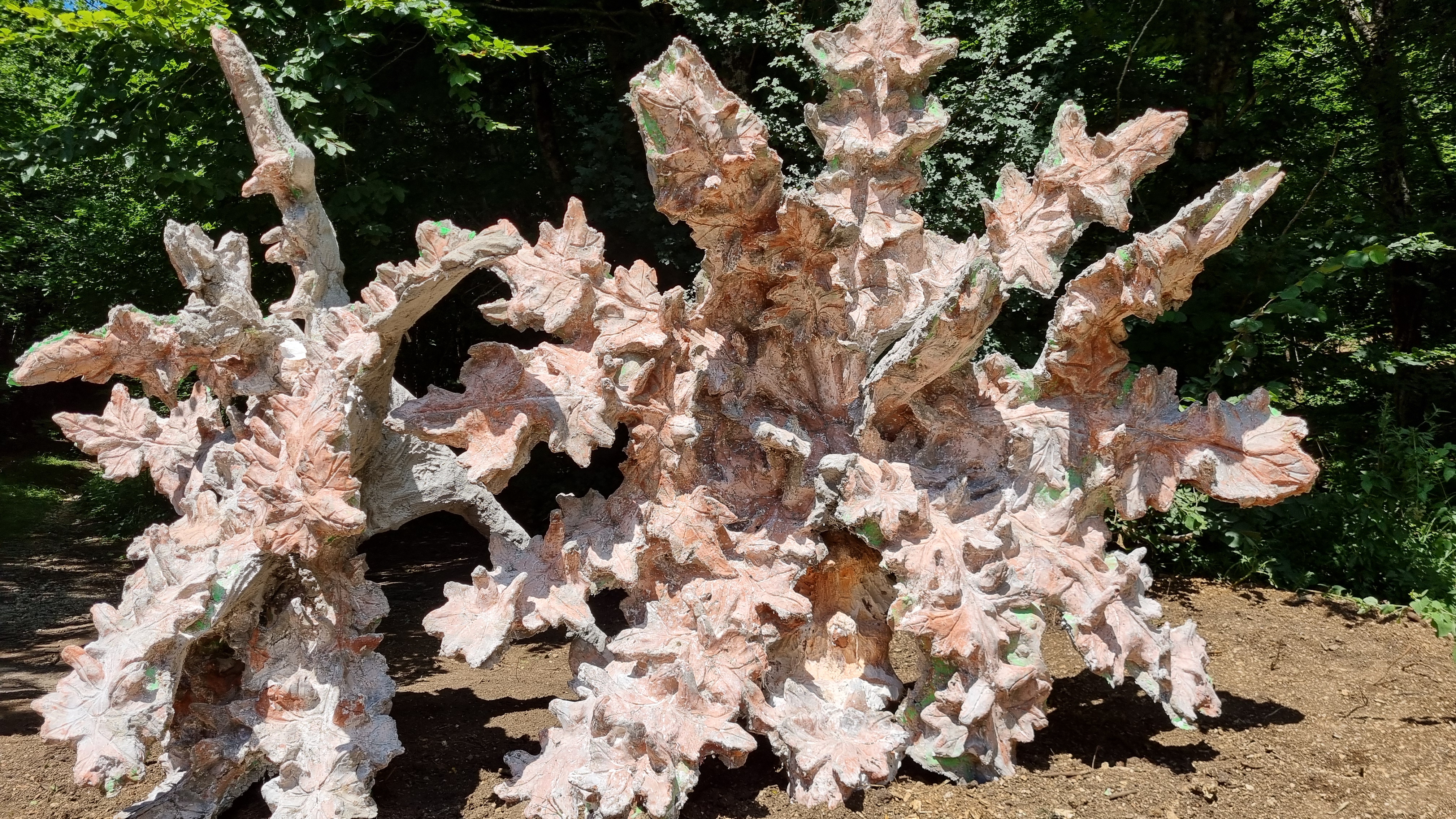 20250712_143556.jpg (4.54 MB)