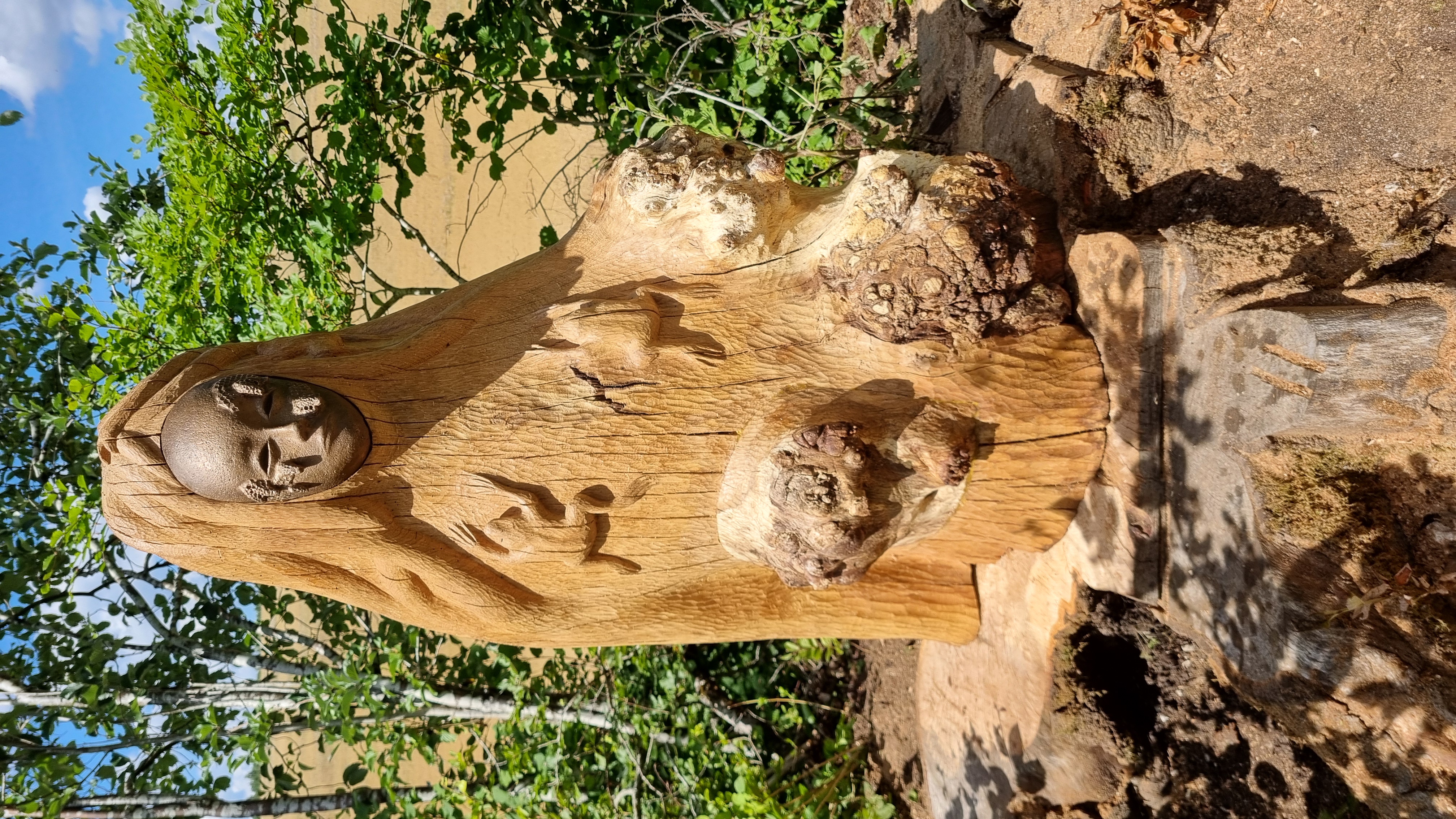 20250712_153036.jpg (4.06 MB)