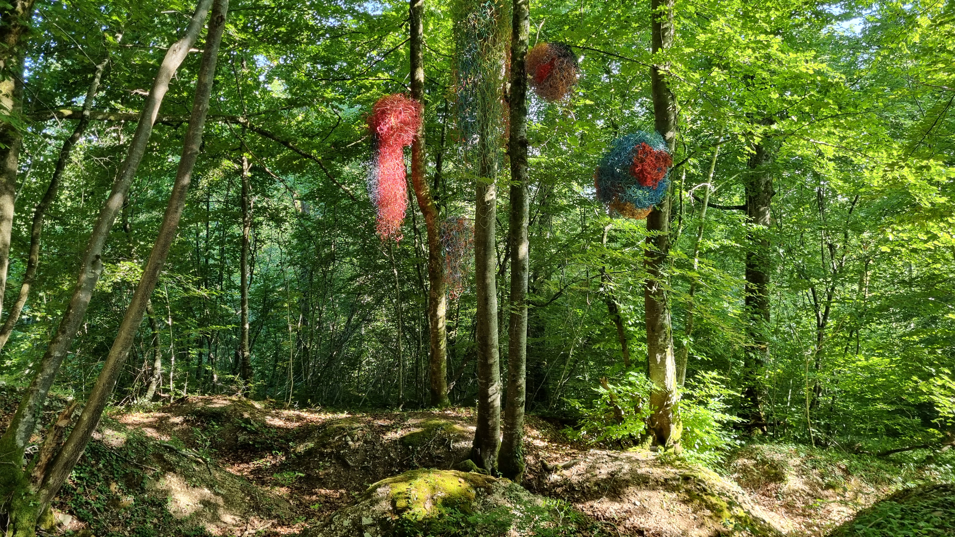 20250712_180851.jpg (5.43 MB)